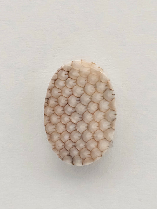 Snake agate cabochon large