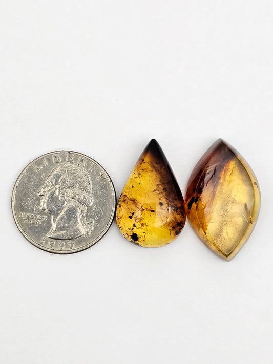 Amber authentic cabochon set large