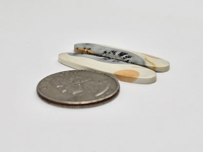 Maligano Jasper Cabochon Pair