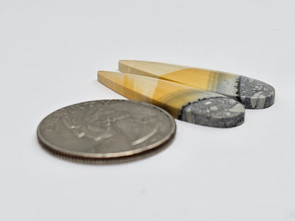 Maligano Jasper Cabochon Pair