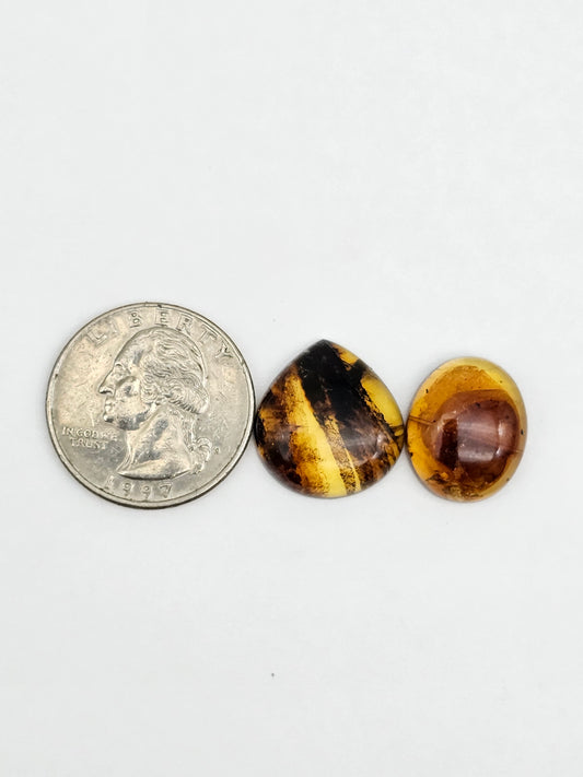Amber authentic cabochon set large