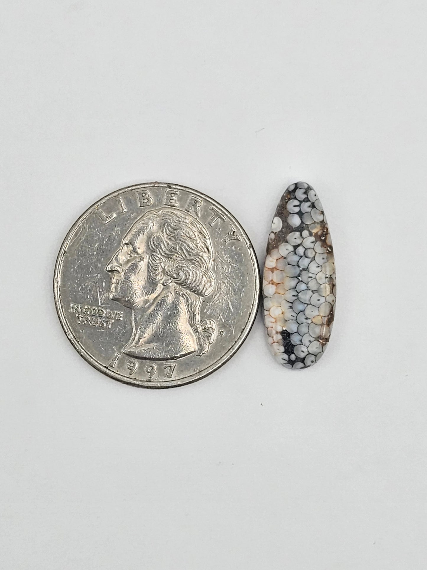 Snake agate cabochon large