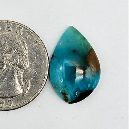 Blue Opal Petrified Wood Cabochon - High Quality