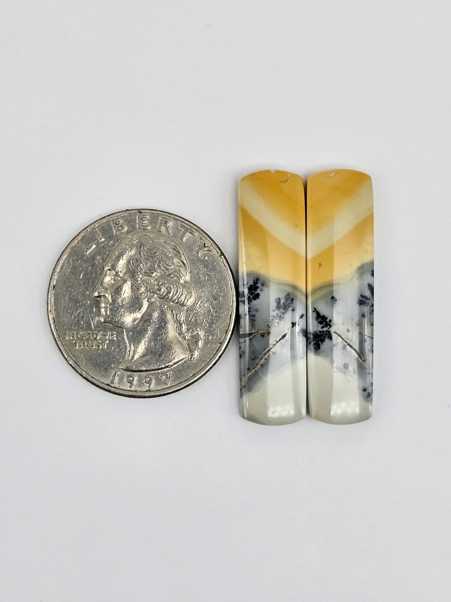 Maligano Jasper Cabochon Pair