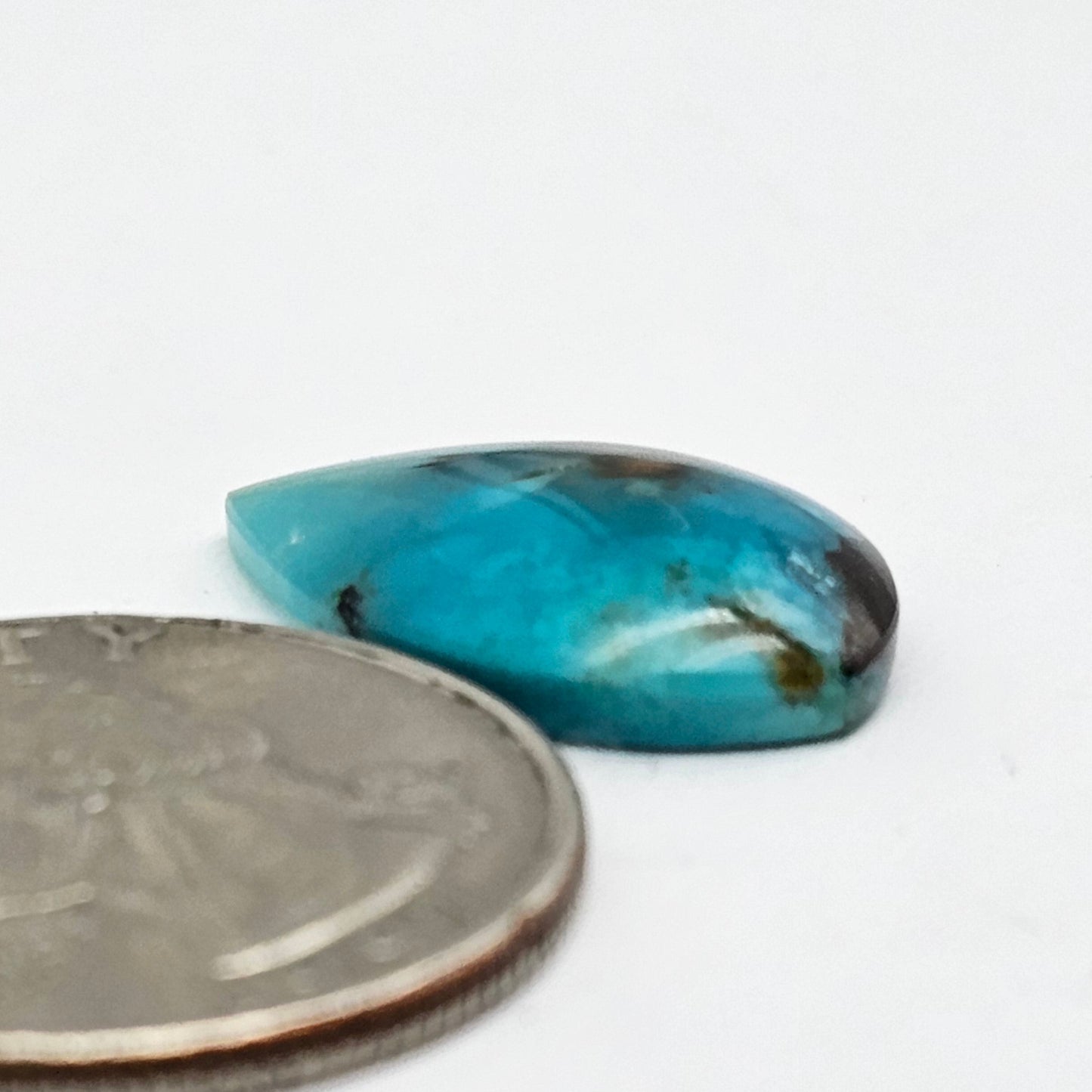 Blue Opal Petrified Wood Cabochon - High Quality