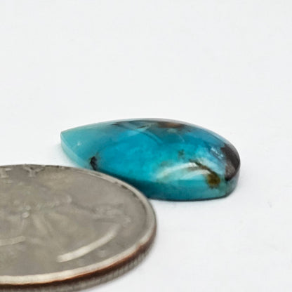 Blue Opal Petrified Wood Cabochon - High Quality