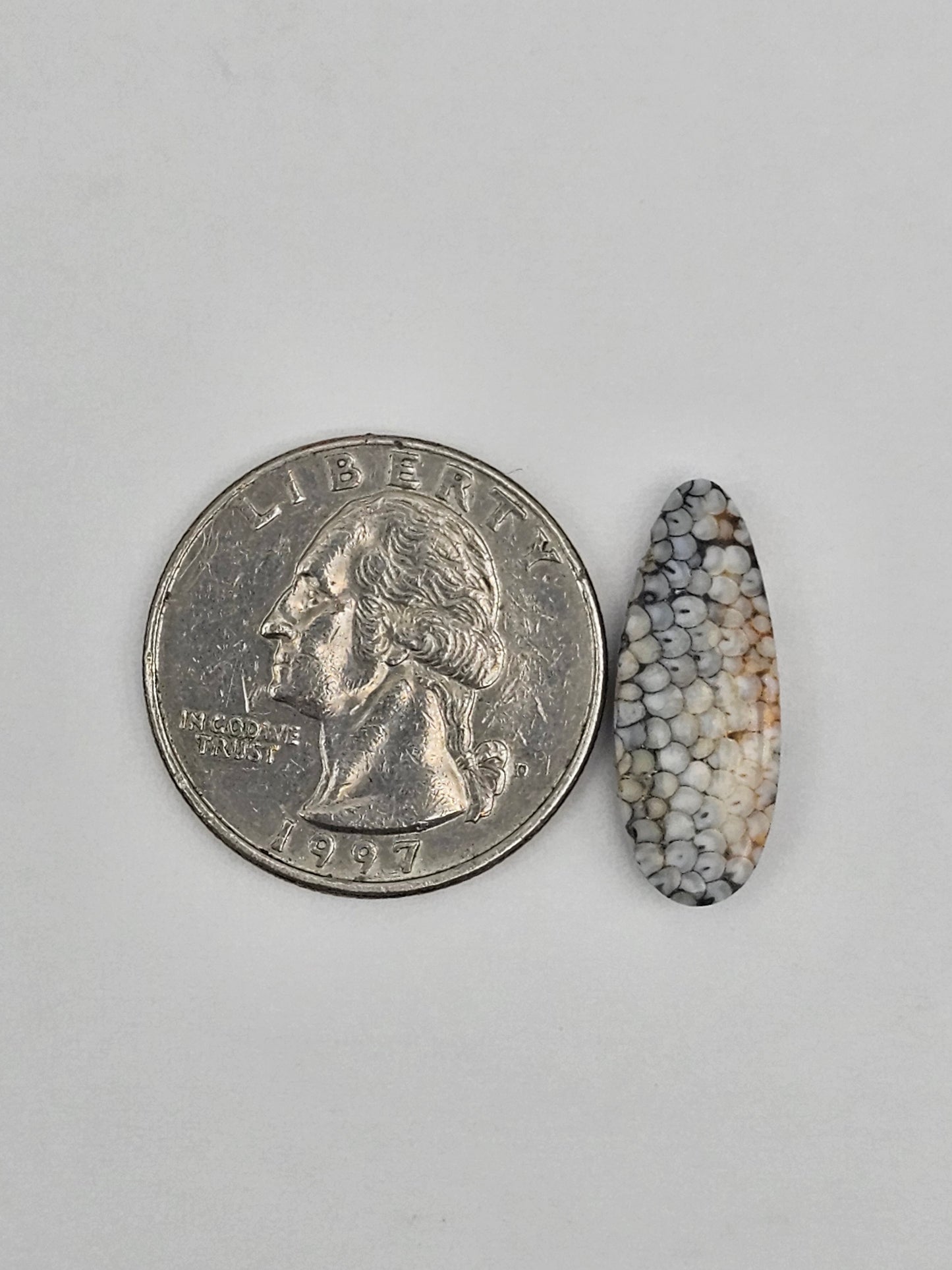 Snake agate cabochon large