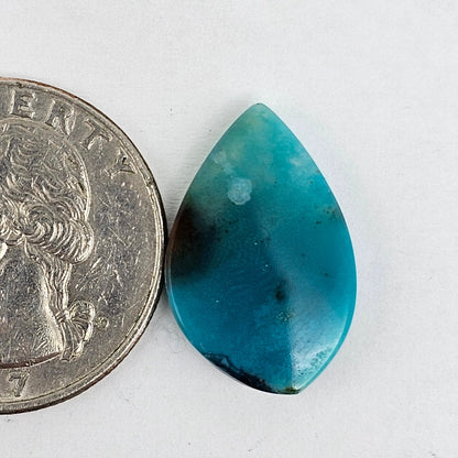 Blue Opal Petrified Wood Cabochon - High Quality