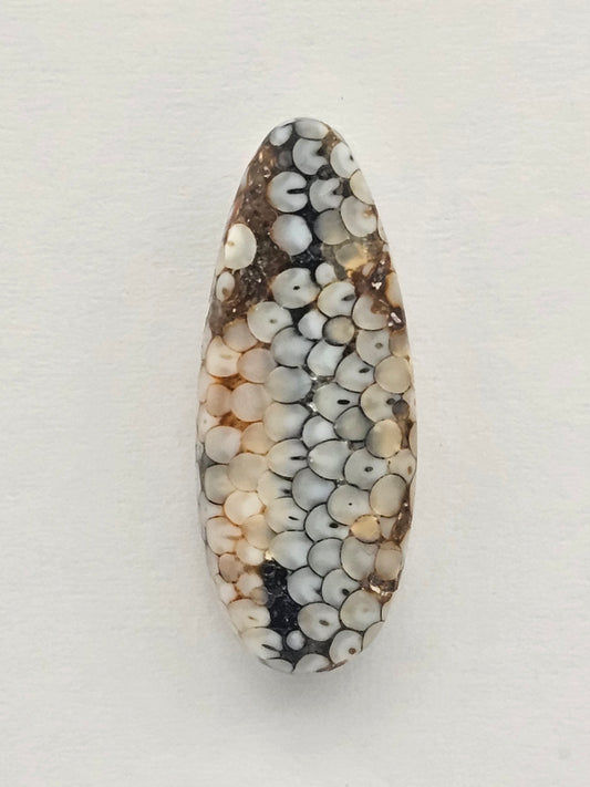 Snake agate cabochon large