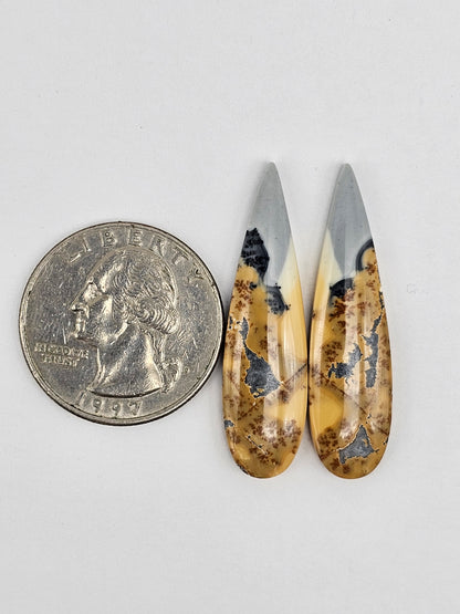 Maligano Jasper Cabochon Pair