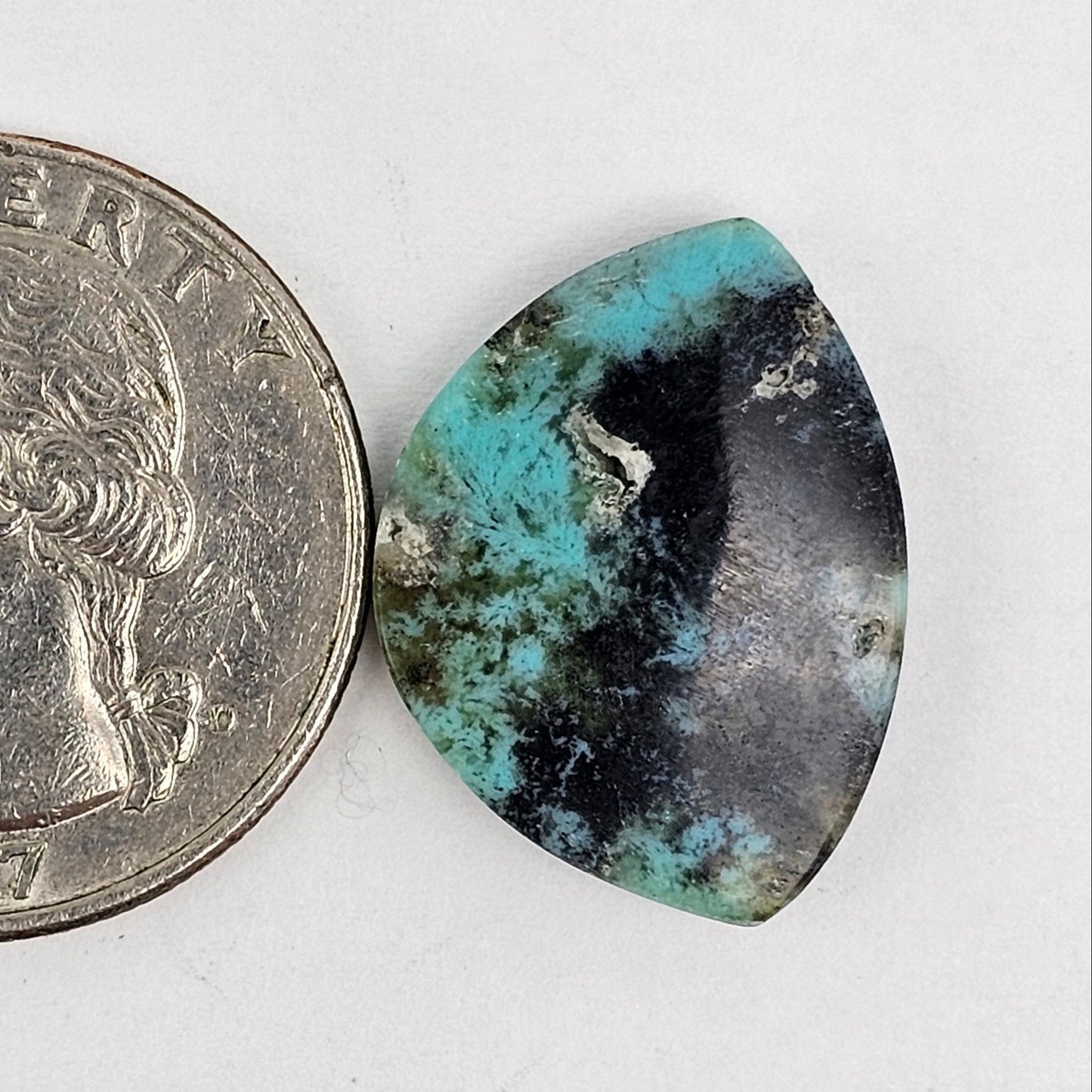 Blue Opal Petrified Wood Cabochon - High Quality