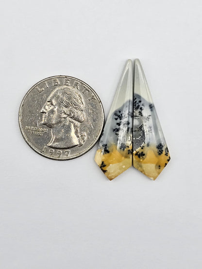 Maligano Jasper Cabochon Pair