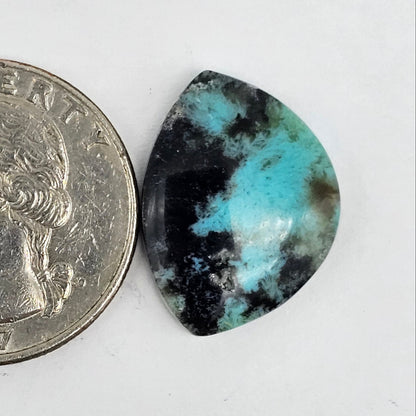 Blue Opal Petrified Wood Cabochon - High Quality