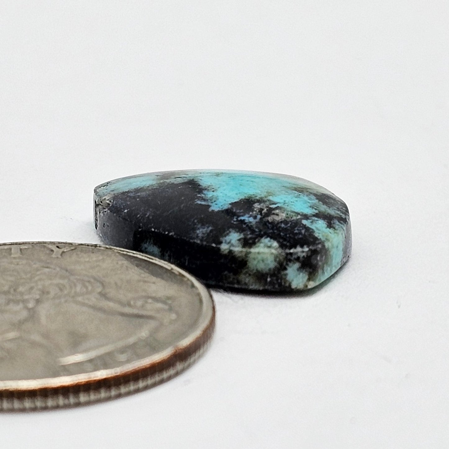 Blue Opal Petrified Wood Cabochon - High Quality