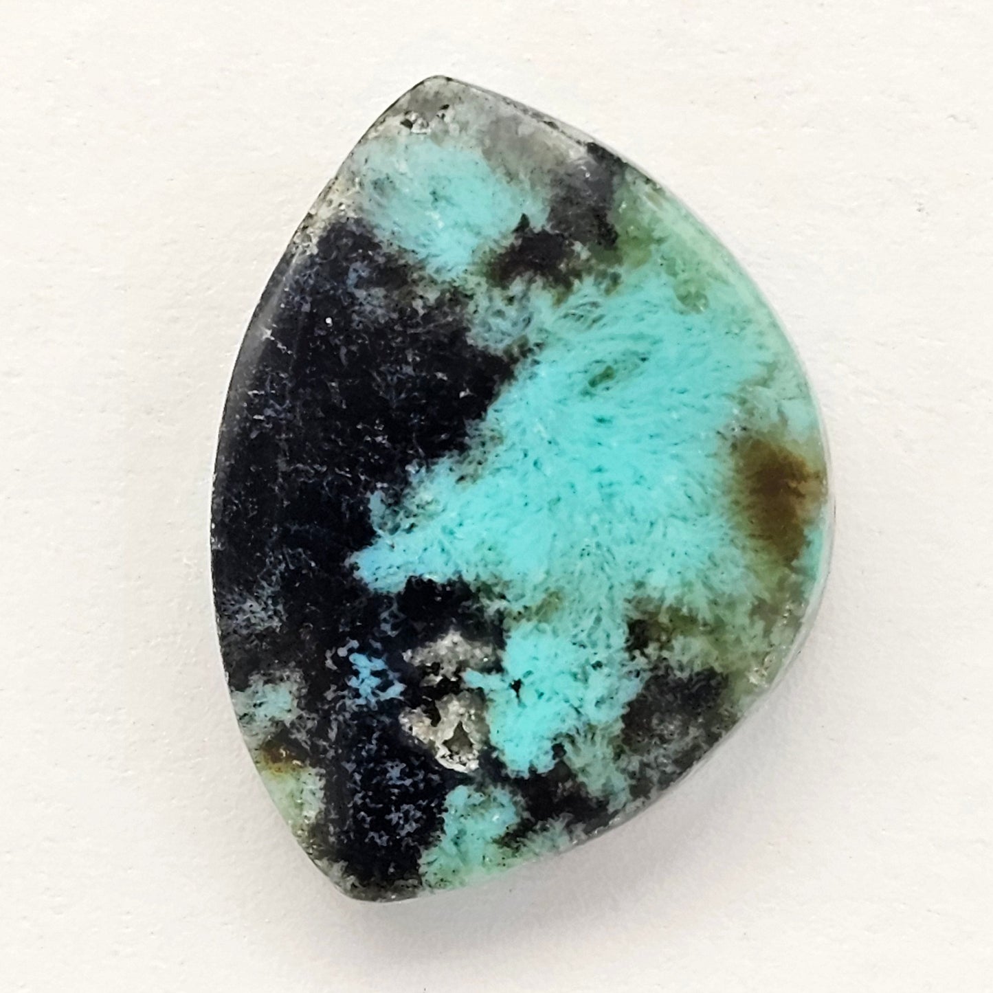 Blue Opal Petrified Wood Cabochon - High Quality