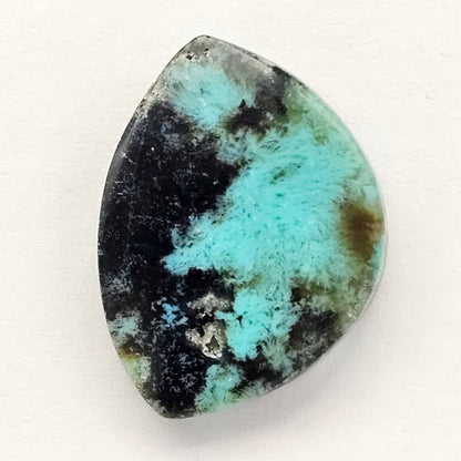 Blue Opal Petrified Wood Cabochon - High Quality