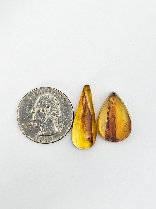 Amber authentic cabochon set large