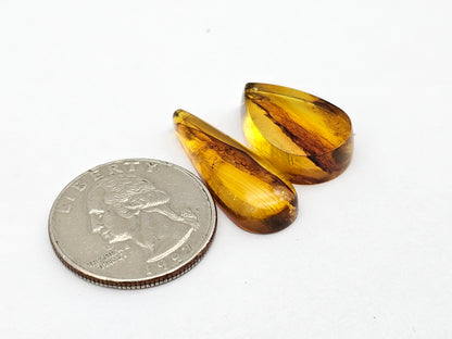 Amber authentic cabochon set large