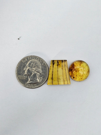 Amber authentic cabochon set large
