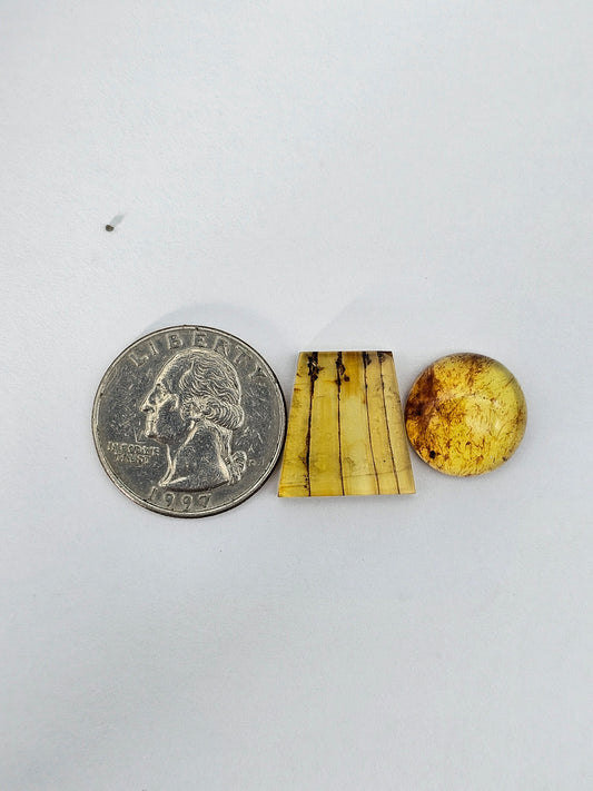 Amber authentic cabochon set large