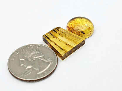 Amber authentic cabochon set large