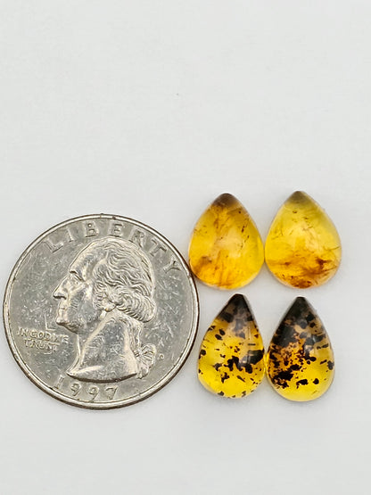 Amber authentic cabochon pair lot