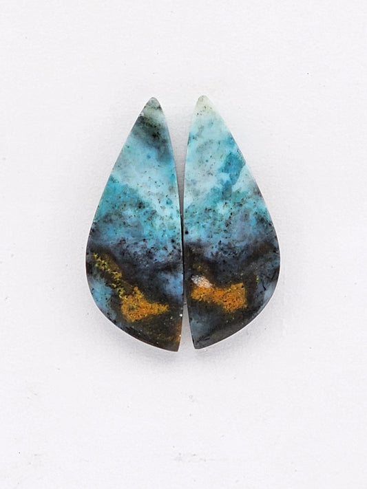 Blue opalized wood Cabochon Pair