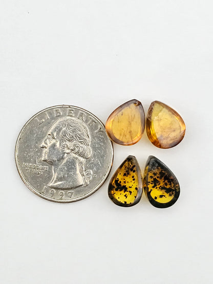 Amber authentic cabochon pair lot