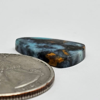 Blue Opal Petrified Wood Cabochon - High Quality