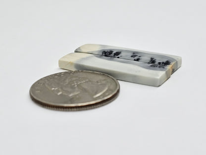 Maligano Jasper Cabochon Pair