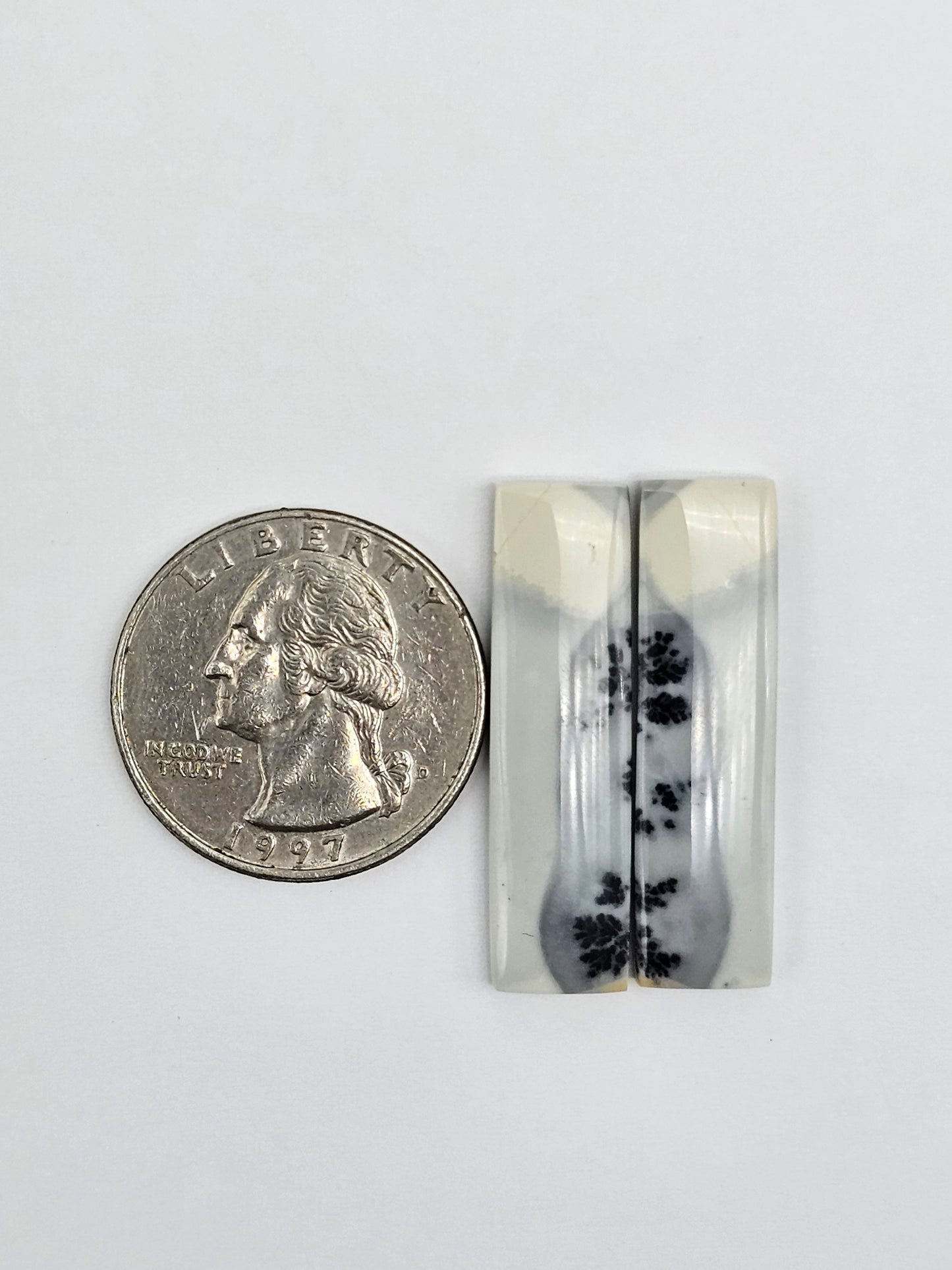 Maligano Jasper Cabochon Pair