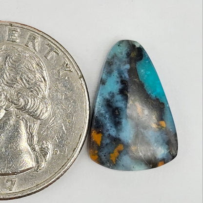 Blue Opal Petrified Wood Cabochon - High Quality