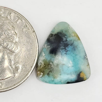 Blue Opal Petrified Wood Cabochon - High Quality