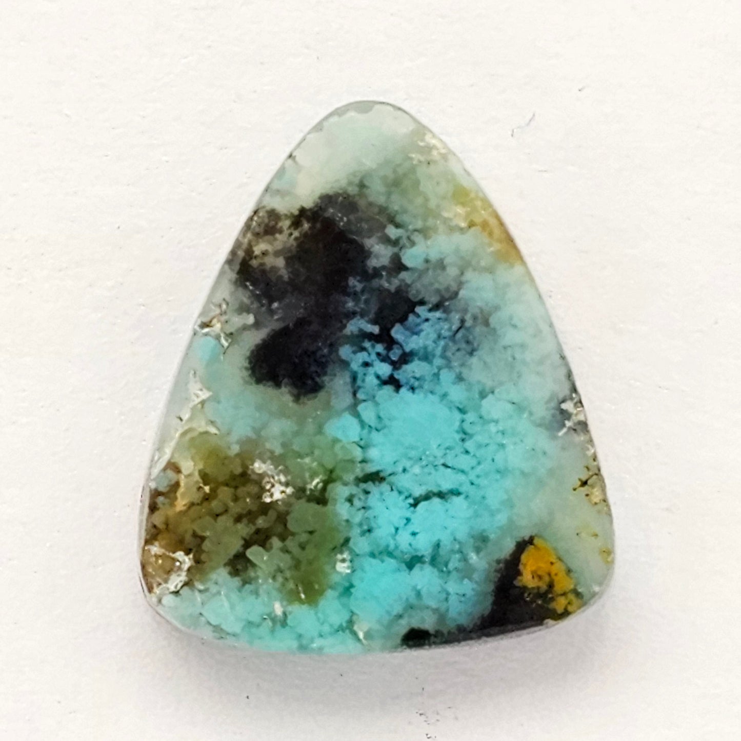 Blue Opal Petrified Wood Cabochon - High Quality