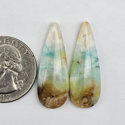 Blue Opal Petrified Wood Cabochon Pair
