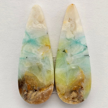 Blue Opal Petrified Wood Cabochon Pair