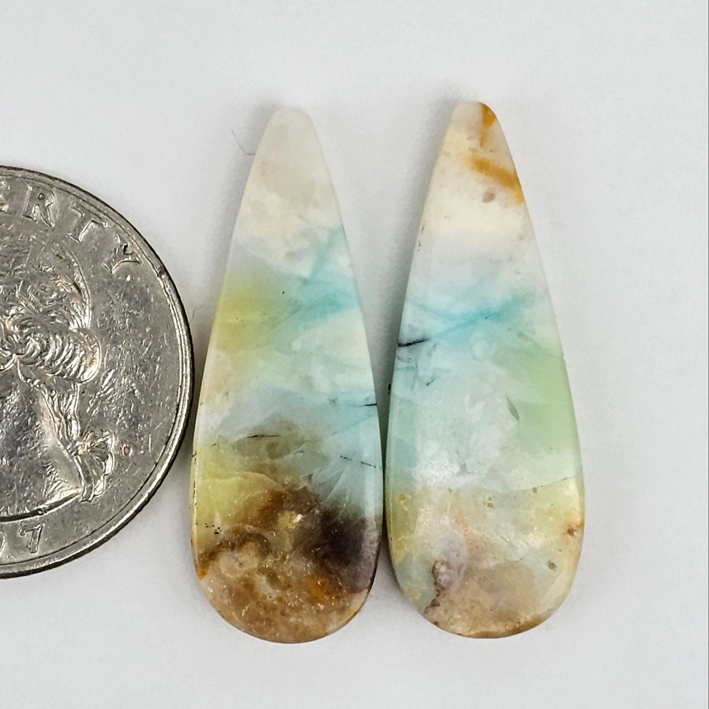 Blue Opal Petrified Wood Cabochon Pair
