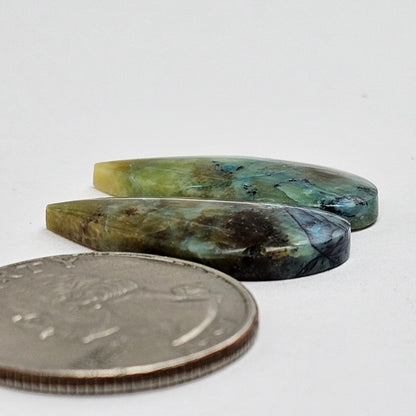 Blue Opal Petrified Wood Cabochon Pair
