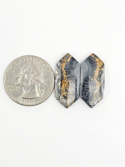 Maligano Jasper Cabochon Pair