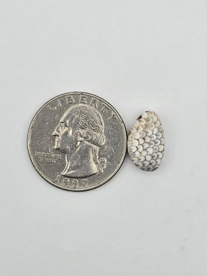 Snake skin agate cabochon