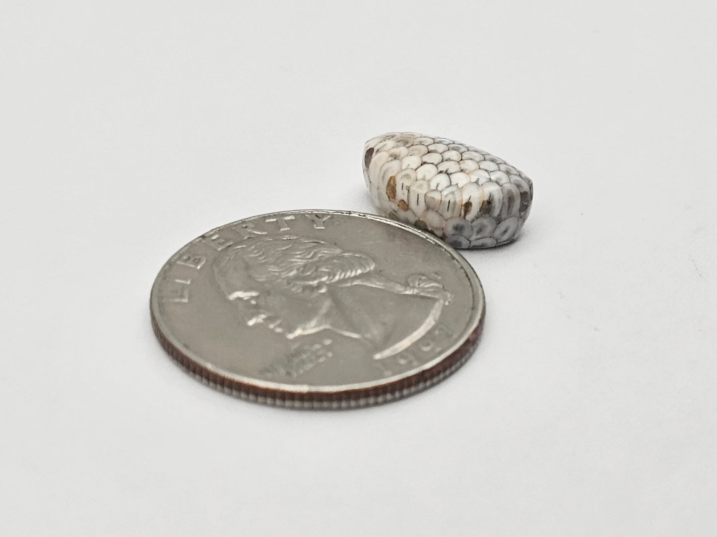 Snake skin agate cabochon