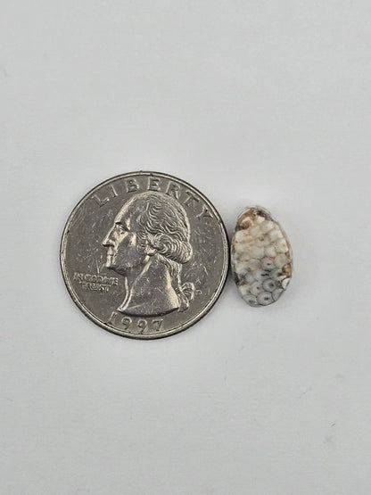Snake skin agate cabochon