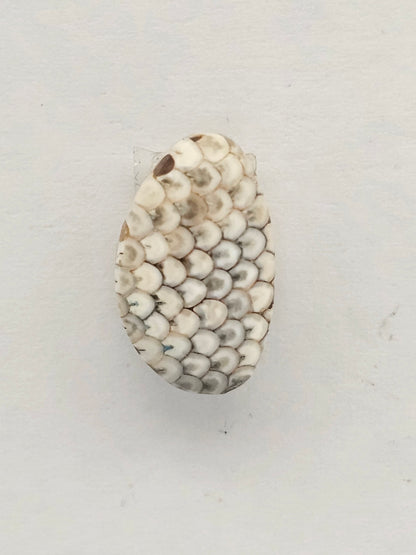 Snake skin agate cabochon