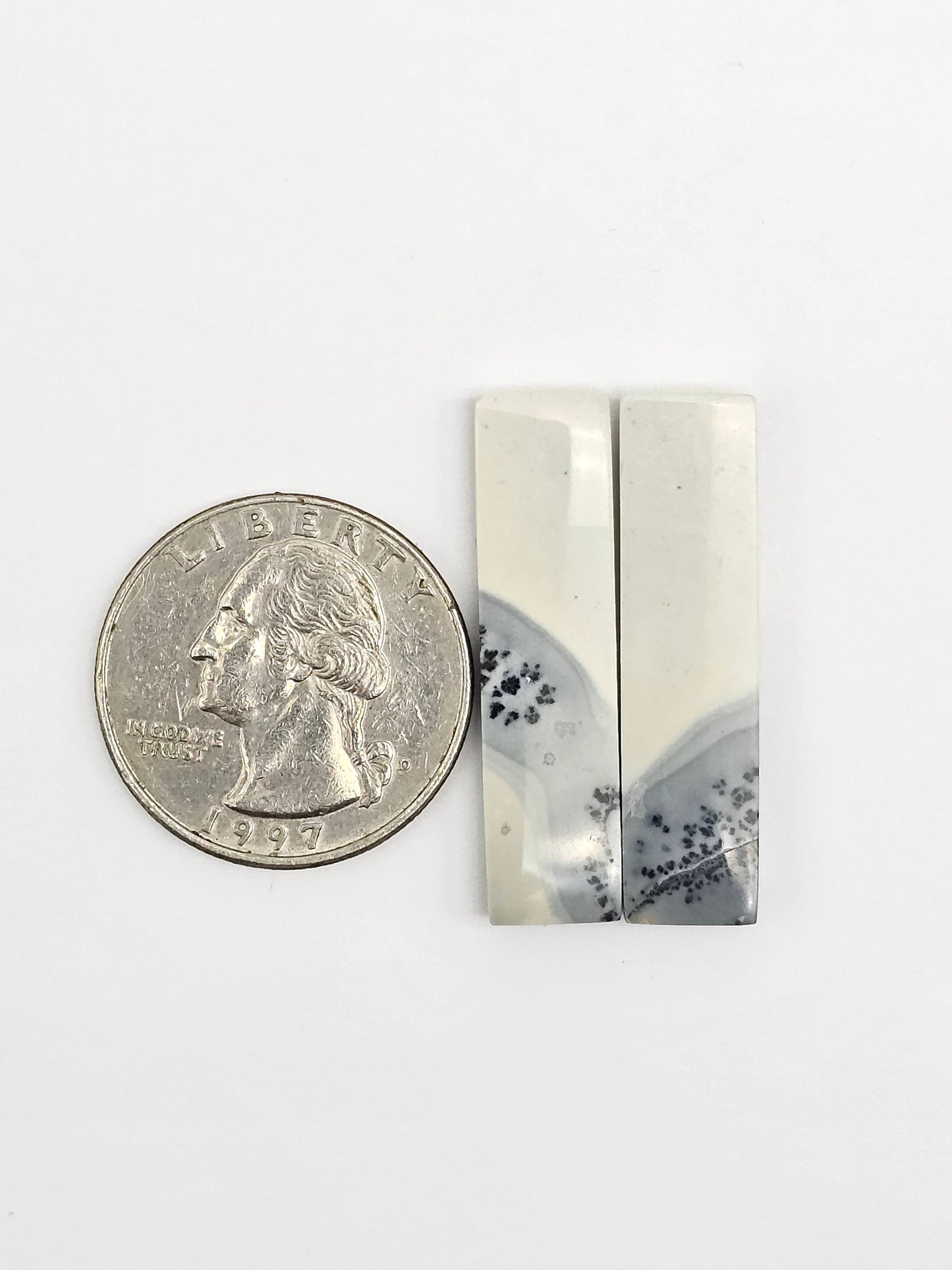 Maligano Jasper Cabochon Pair