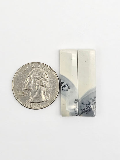 Maligano Jasper Cabochon Pair