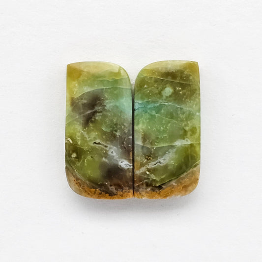 Blue Opal Petrified Wood Cabochon Pair