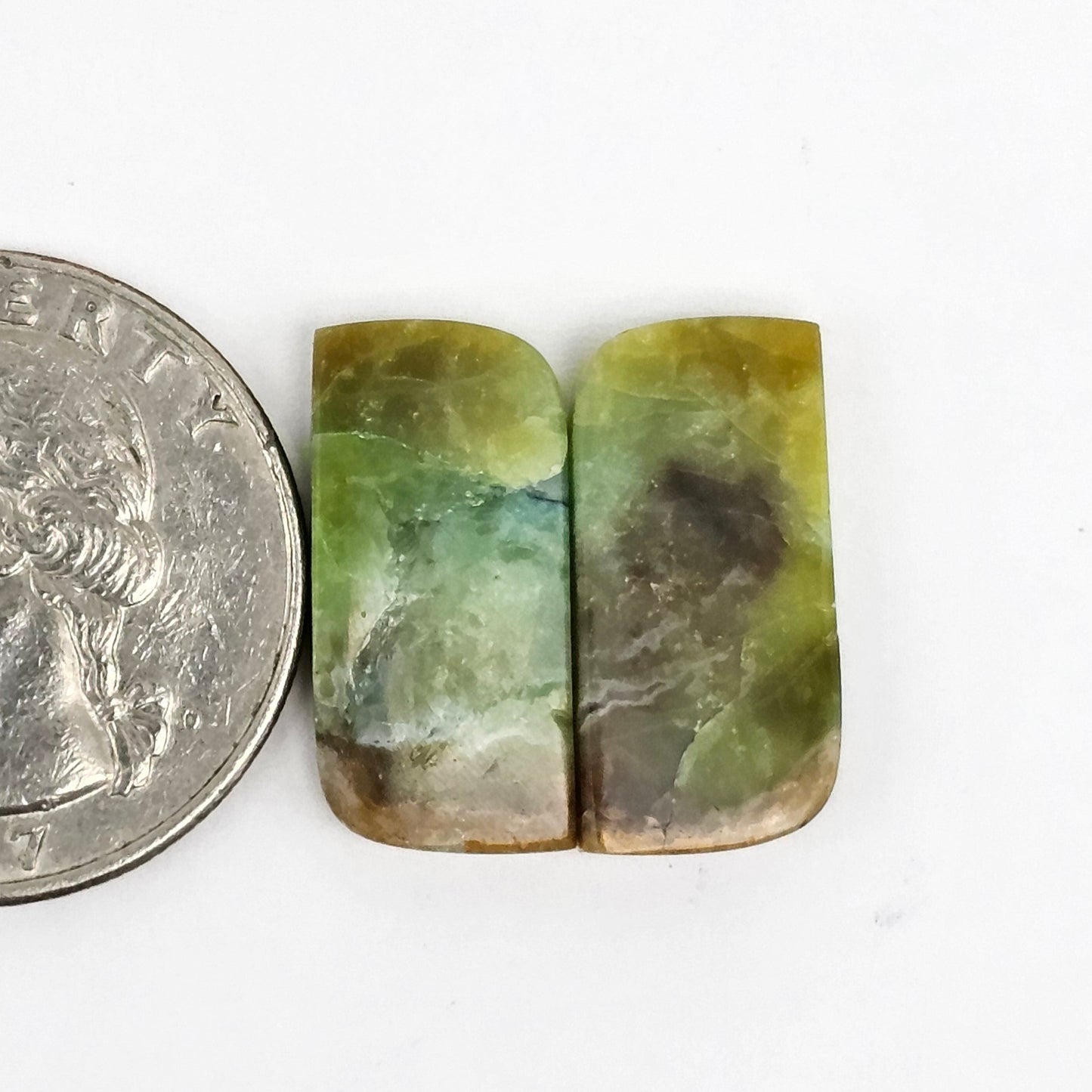 Blue Opal Petrified Wood Cabochon Pair
