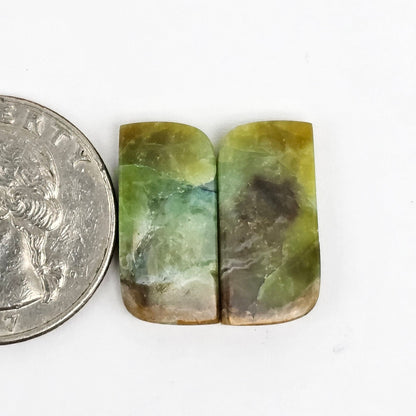 Blue Opal Petrified Wood Cabochon Pair