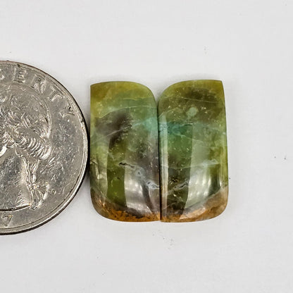 Blue Opal Petrified Wood Cabochon Pair