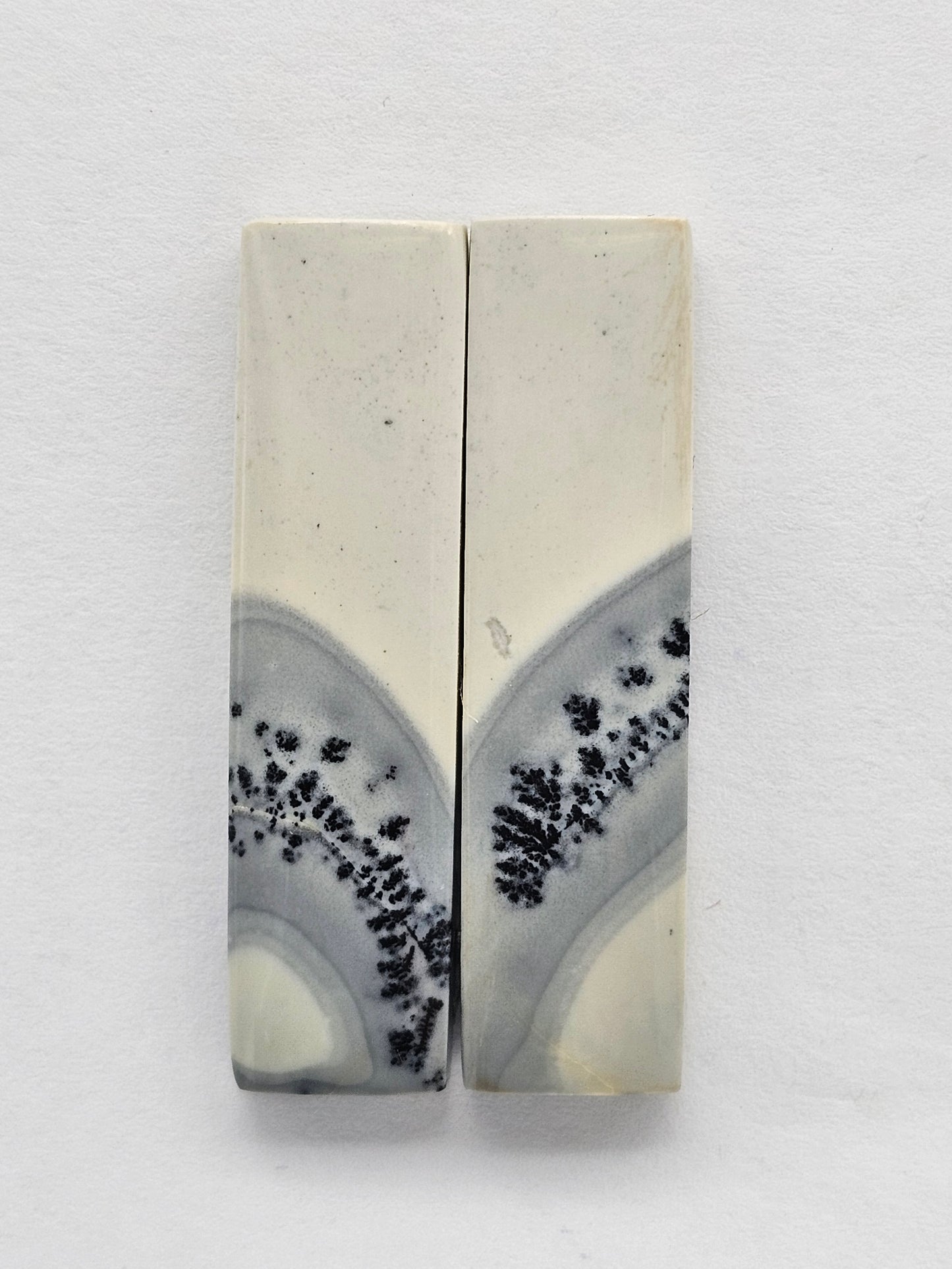 Maligano Jasper Cabochon Pair